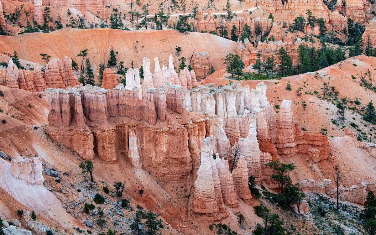 Bryce Canyon hoodoos silhouetted against a star-filled night sky
